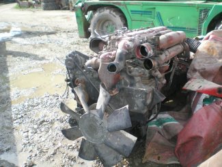 Gabbero | MOTORE IVECO 190.36