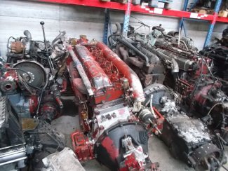 Gabbero | MOTORE AUTOCARRO