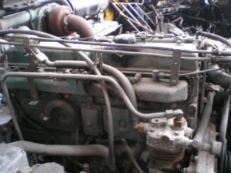 Gabbero | MOTORE VOLVO FL6 